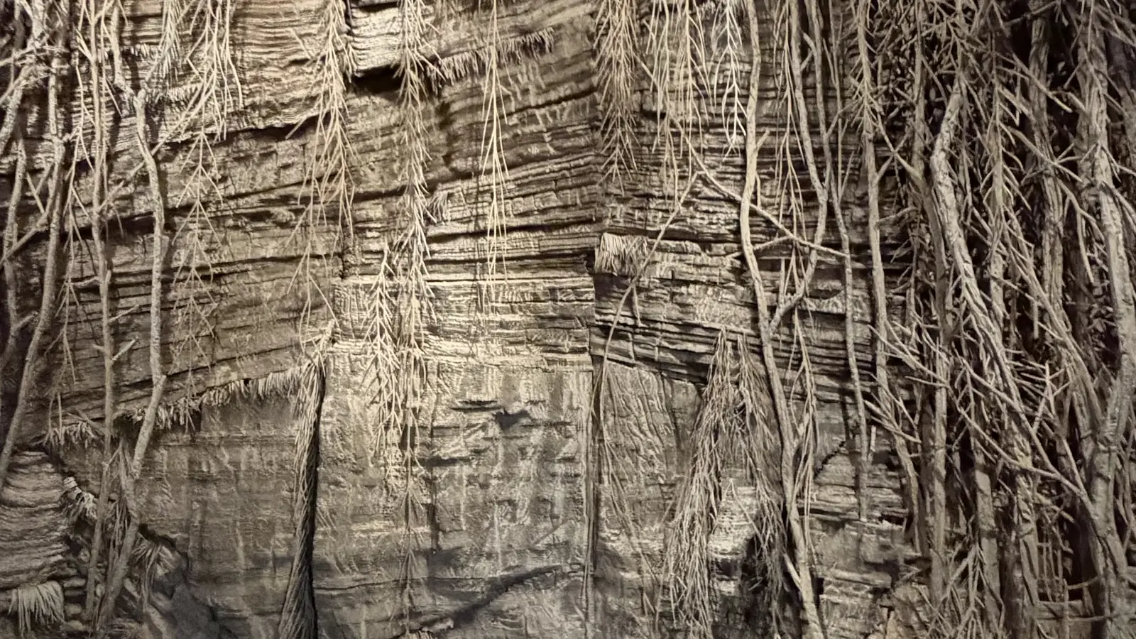 Eva Jospin, "Panorama": the cardboard forest.